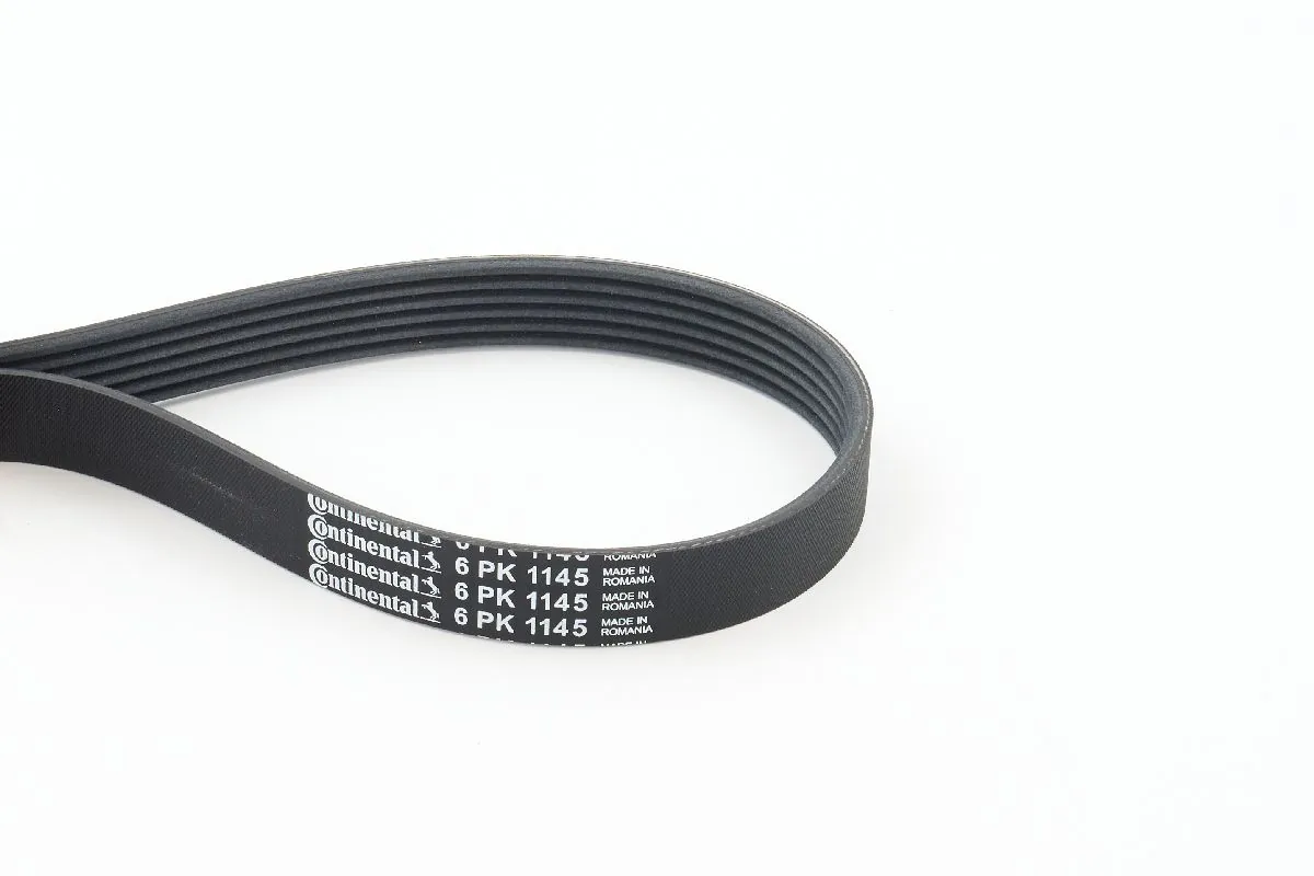 V-ribbed Belt